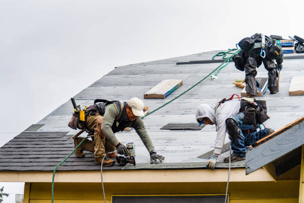 Professional Roofing technician working in Northwood, ND